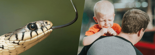 Прості правила батькам, щоб убезпечити свою дитину від змій