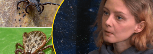 Акарологиня Олександра Шевченко