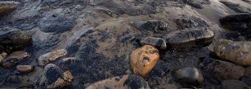 Российские власти пытаются скрыть крупный разлив нефти в Черном море, — эколог