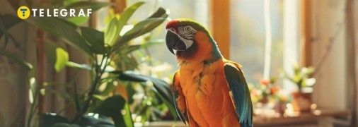 Цей красень не лише розвеселить вас своїми кумедними витівками (фото створене з допомогою ШІ)