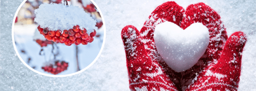 Зима в Украине