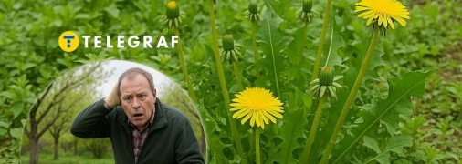 Не дайте бур’янам шансу