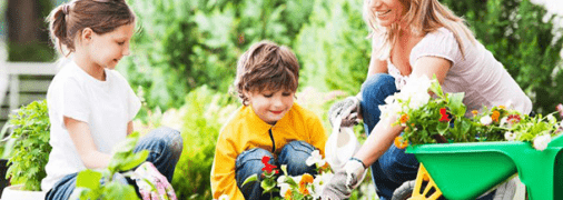 Детским садам и школам Киева помогут создать микрофермы