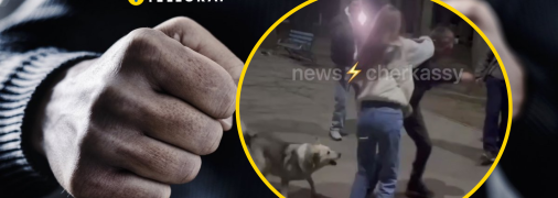 Избиение жестокое