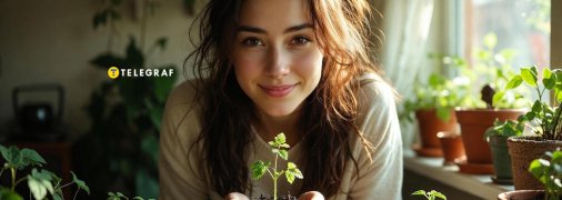 Декабрь - время для посева рассады некоторых цветов