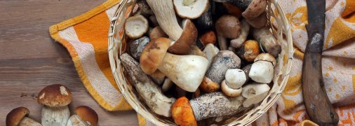 Топ-5 секретов как правильно чистить грибы