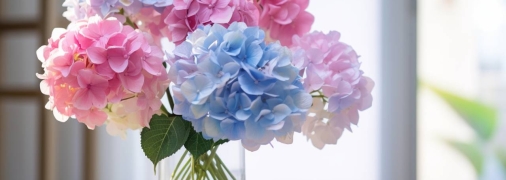 Букет гортензий