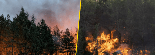 Уничтожено более трехсот домов: на Харьковщине полсела сгорело во время масштабного пожара (фото, видео)