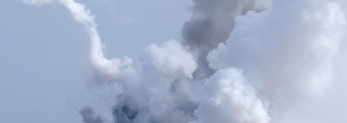 "Бавовна" в Крыму