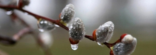 Погода в марте