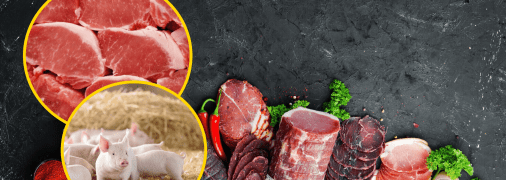 Как выбрать качественное мясо в Украине