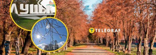 В Луцке расцвела сакура