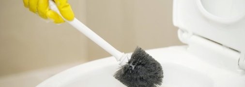 Ваш унитаз засияет!