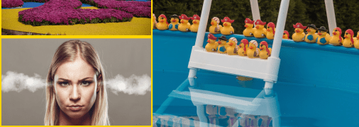 У мережі обурені сервісом басейну в Запоріжжі