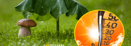 Погода в Украине