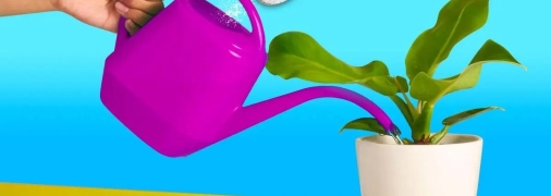 Завдяки харчовій соді ви захистите свої рослини від паразитів