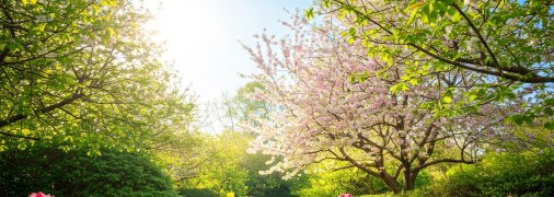 В Украину придет потепление