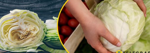 Капуста йде до багатьох українських страв
