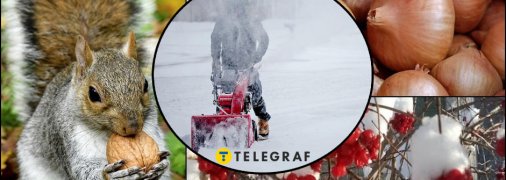 Народные приметы рассказывают, какой будет зима