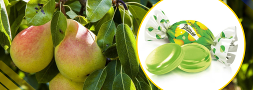 Ілюстративне фото