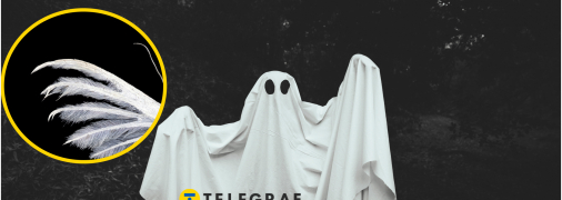 Зовнішність метелика дуже химерна