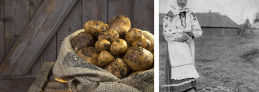 Колаж "Телеграфу"