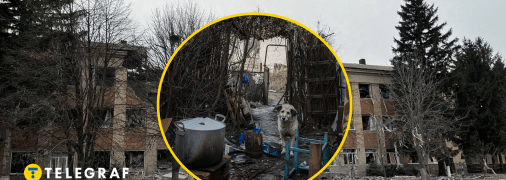 Від російської агресії страждають також чотирилапі