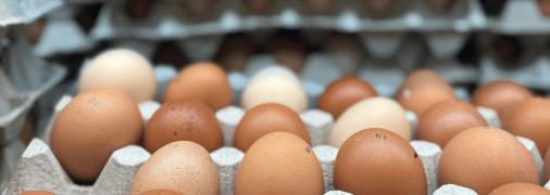 Куриные яйца