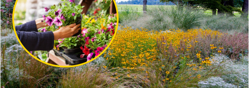 Опасные растения