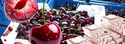 Цены на черешню в Украине