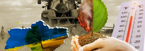 Теплые зимы обладают как плюсами, так и минусами для аграрного сектора. Фото Коллаж "Телеграфа"