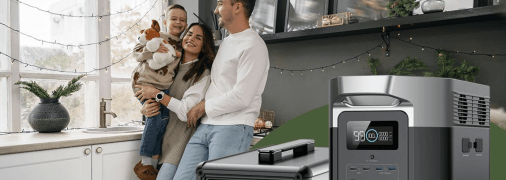 На рынке такой девайс стоит немало