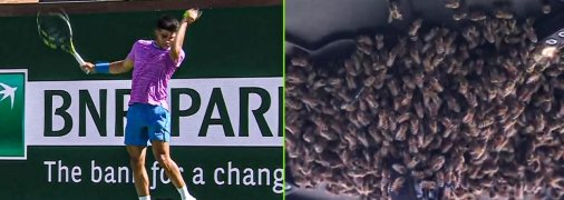 Игру все же прервали, но потом доиграли