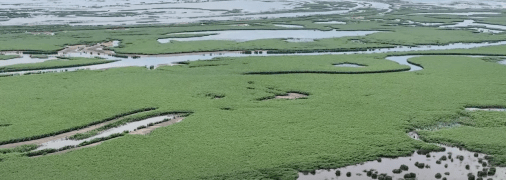 Каховське водосховище зараз