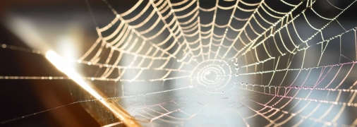 Павутина врятувала життя Ісусу Христу