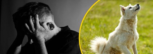 На Волині чоловік знущався з власного собаки