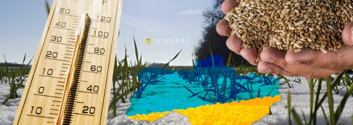 Нынешний урожай зерновых превысил ожидания. Фото Коллаж "Телеграфа"