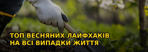 Весенняя уборка и уход за садом – одни из пунктов, которые следует выполнить весной (изображение создано с помощью ИИ)