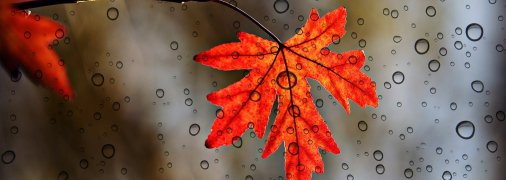 Поздняя осень