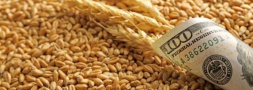 Мито запровадять на зерно та олійні культури