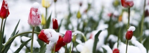 Украину еще может накрыть снег в апреле: названа дата