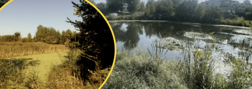 Озеро Гнилуша