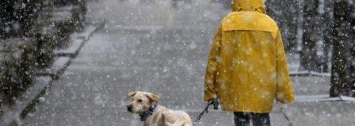 Непогода не отступает: в Украине ожидается мокрый снег и гололед (карта)