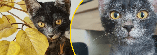 Ілюстративне фото