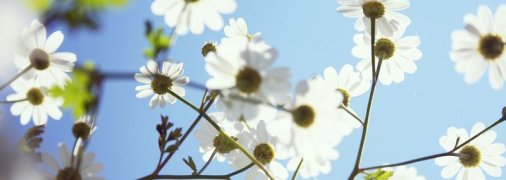 Какие завтра праздники: традиции и приметы на 11 июня