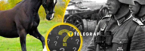 Цей артефакт поєднує коней та солдатів вермахту