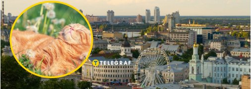 Погода у столиці України