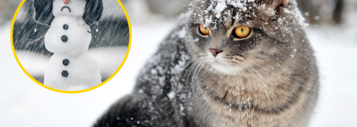 Волынь засыпало снегом