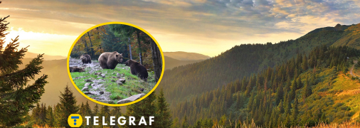 Села Колочава и Синевирская Поляна