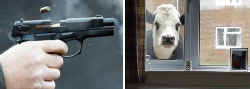 Історія, гідна екранізації